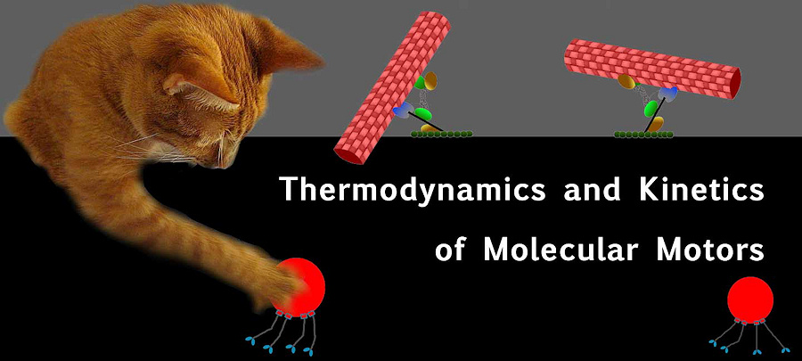 Thermodynamics and Kinetics of Molecular Motors