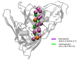 Bio