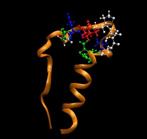 Bio