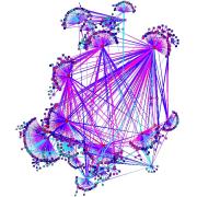 Complex Networks