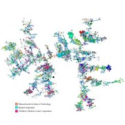 Complex Networks