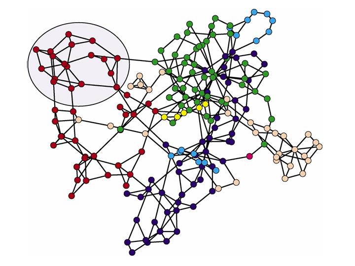 Multi-scale Modeling