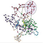 Networks